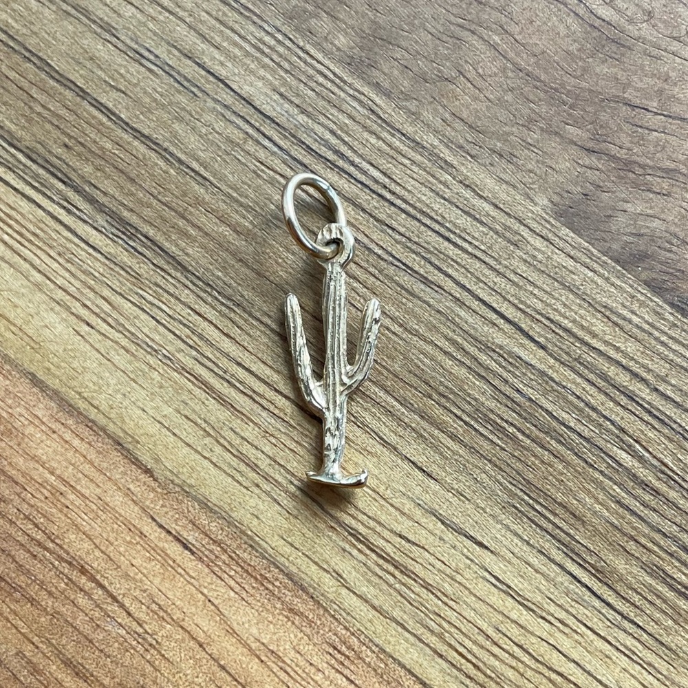 14K cactus charm